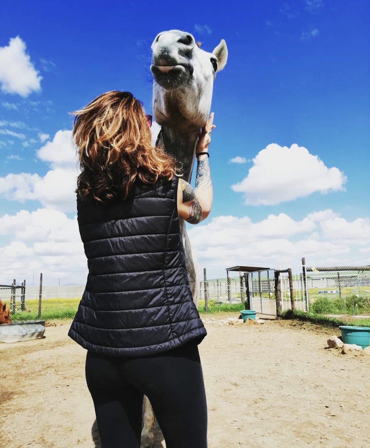 Capella standing close to a white horse beneath a blue sky